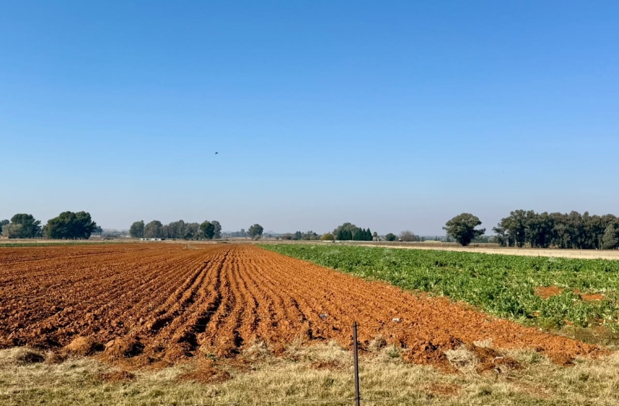 4 Bedroom Property for Sale in Bainsvlei Free State